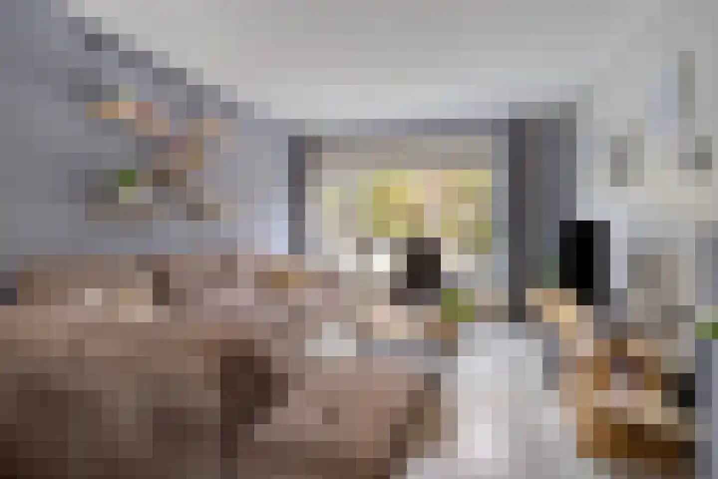 Leeuwerikstraat 3 Goor thumbnail 6