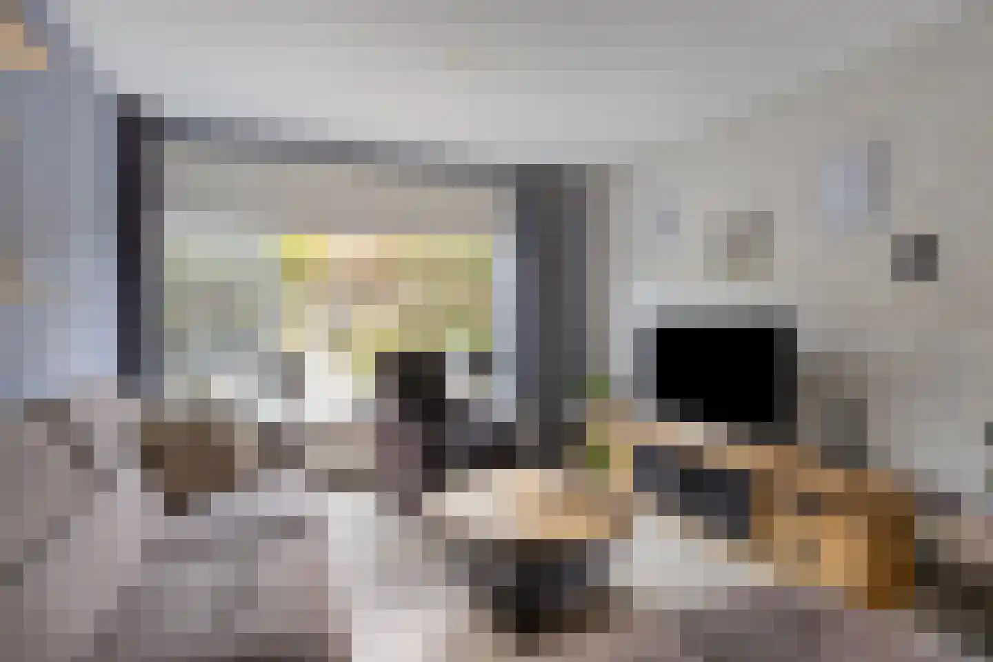 Leeuwerikstraat 3 Goor thumbnail 7