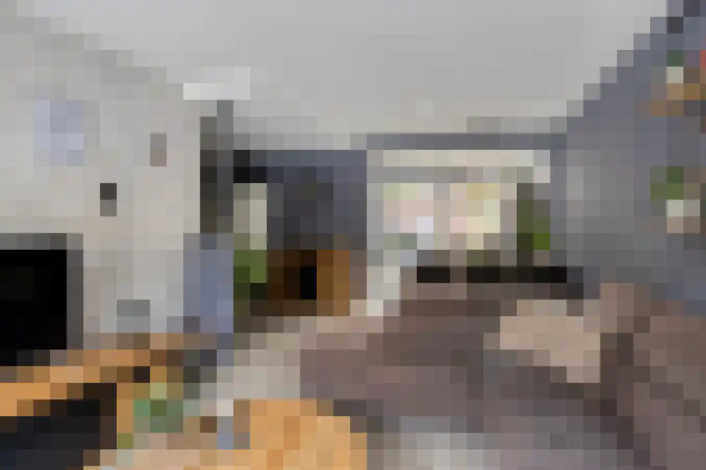 Leeuwerikstraat 3 Goor thumbnail 8