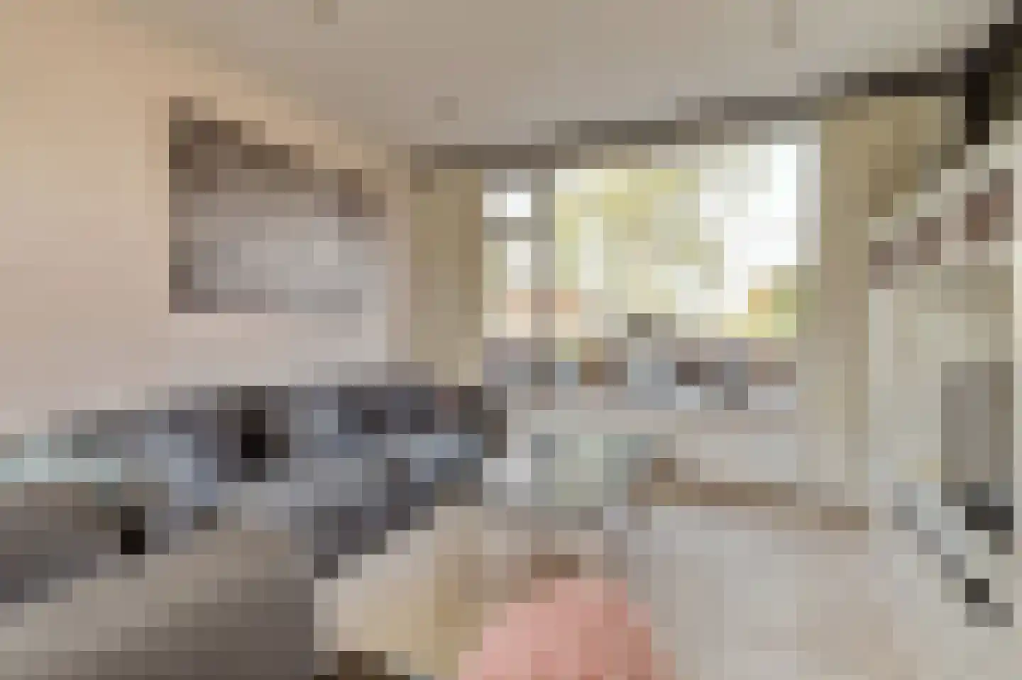 Leeuwerikstraat 3 Groot-Ammers thumbnail 10