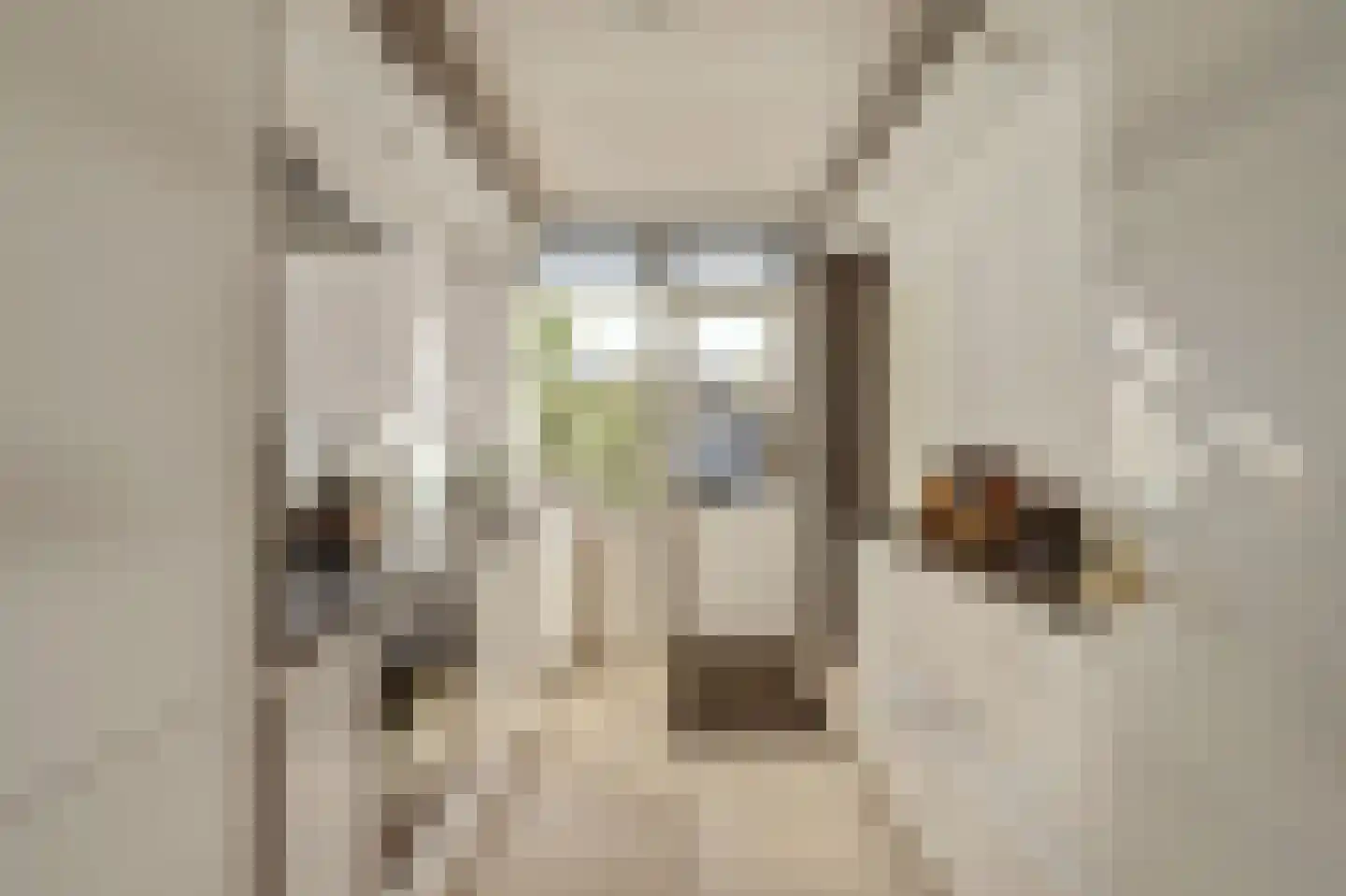 Leeuwerikstraat 3 Groot-Ammers thumbnail 11