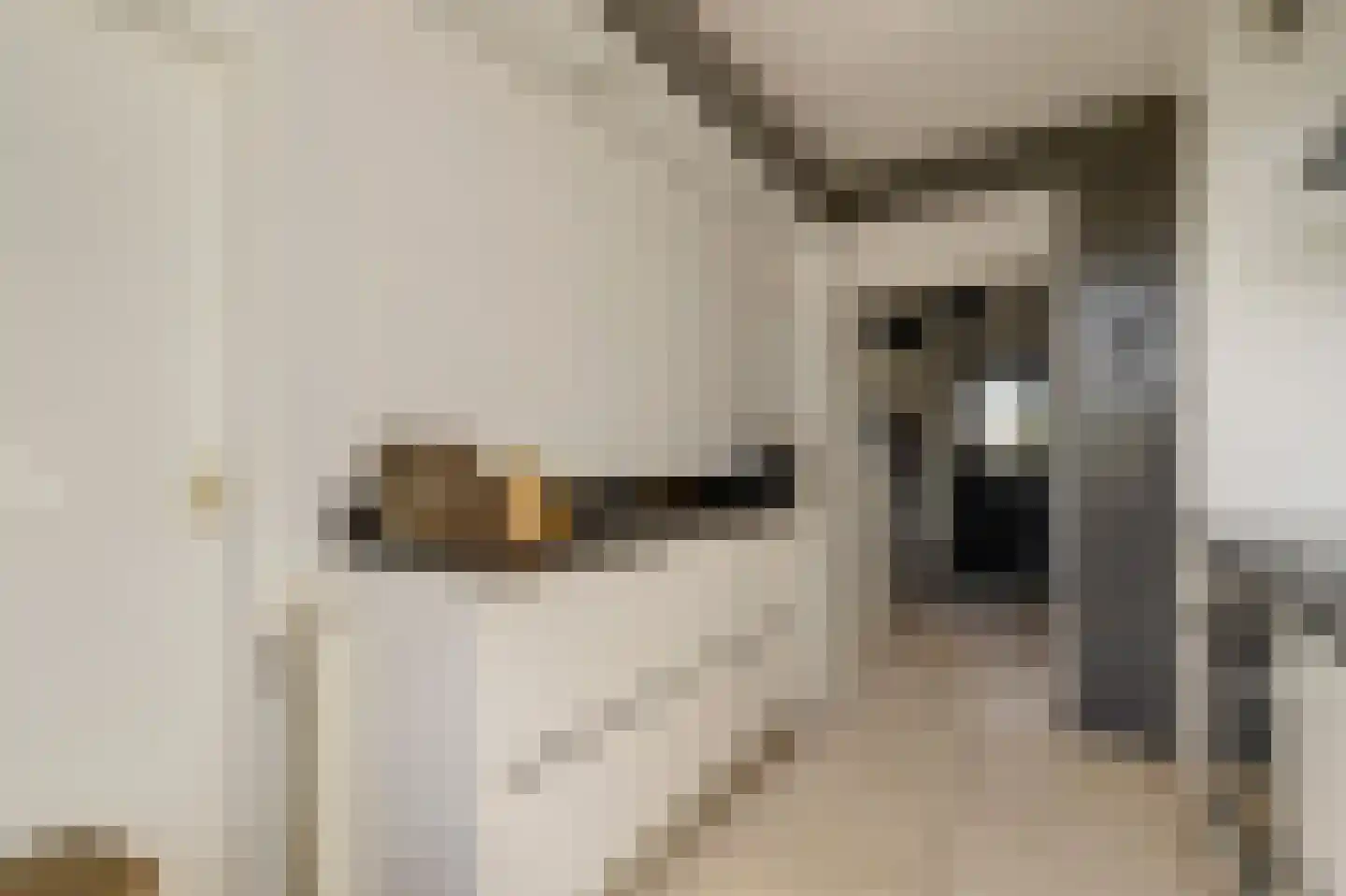 Leeuwerikstraat 3 Groot-Ammers thumbnail 12