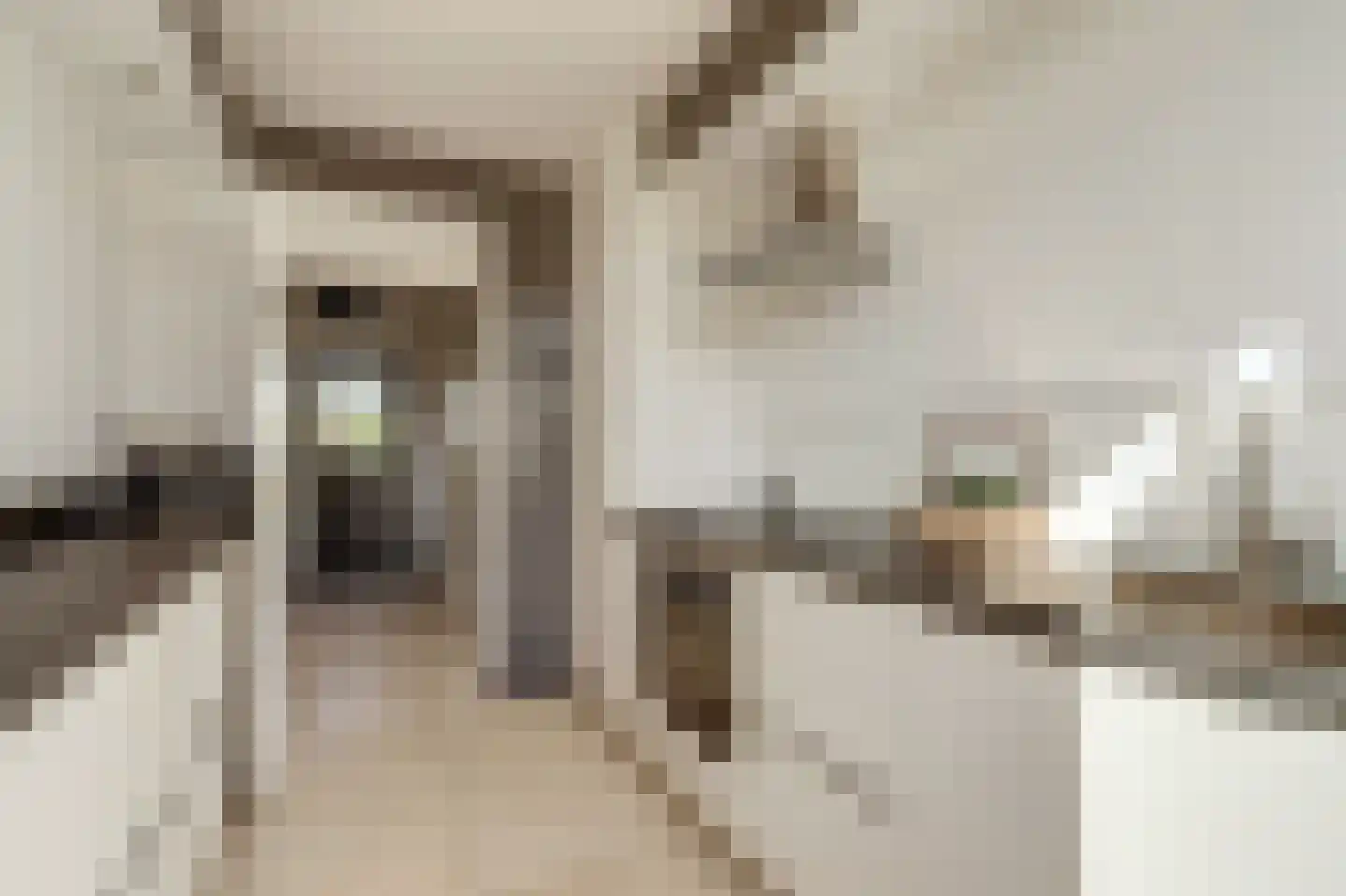 Leeuwerikstraat 3 Groot-Ammers thumbnail 13