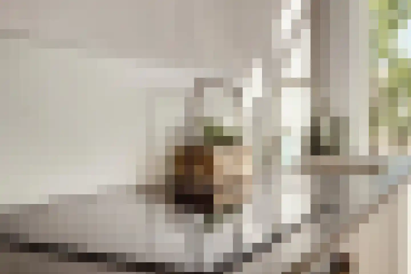 Leeuwerikstraat 3 Groot-Ammers thumbnail 15