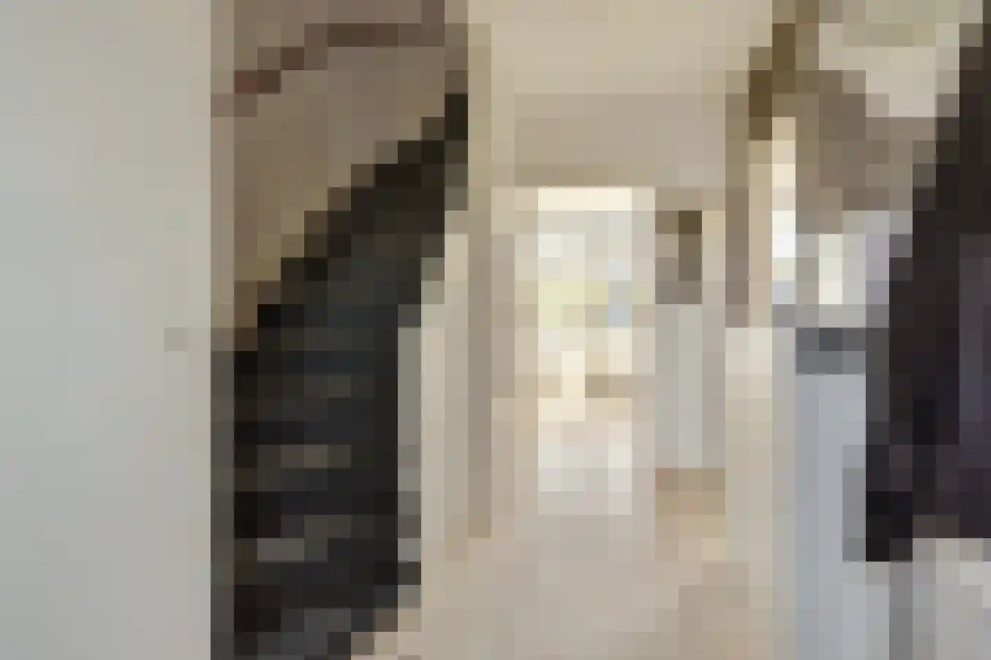 Leeuwerikstraat 3 Groot-Ammers thumbnail 17