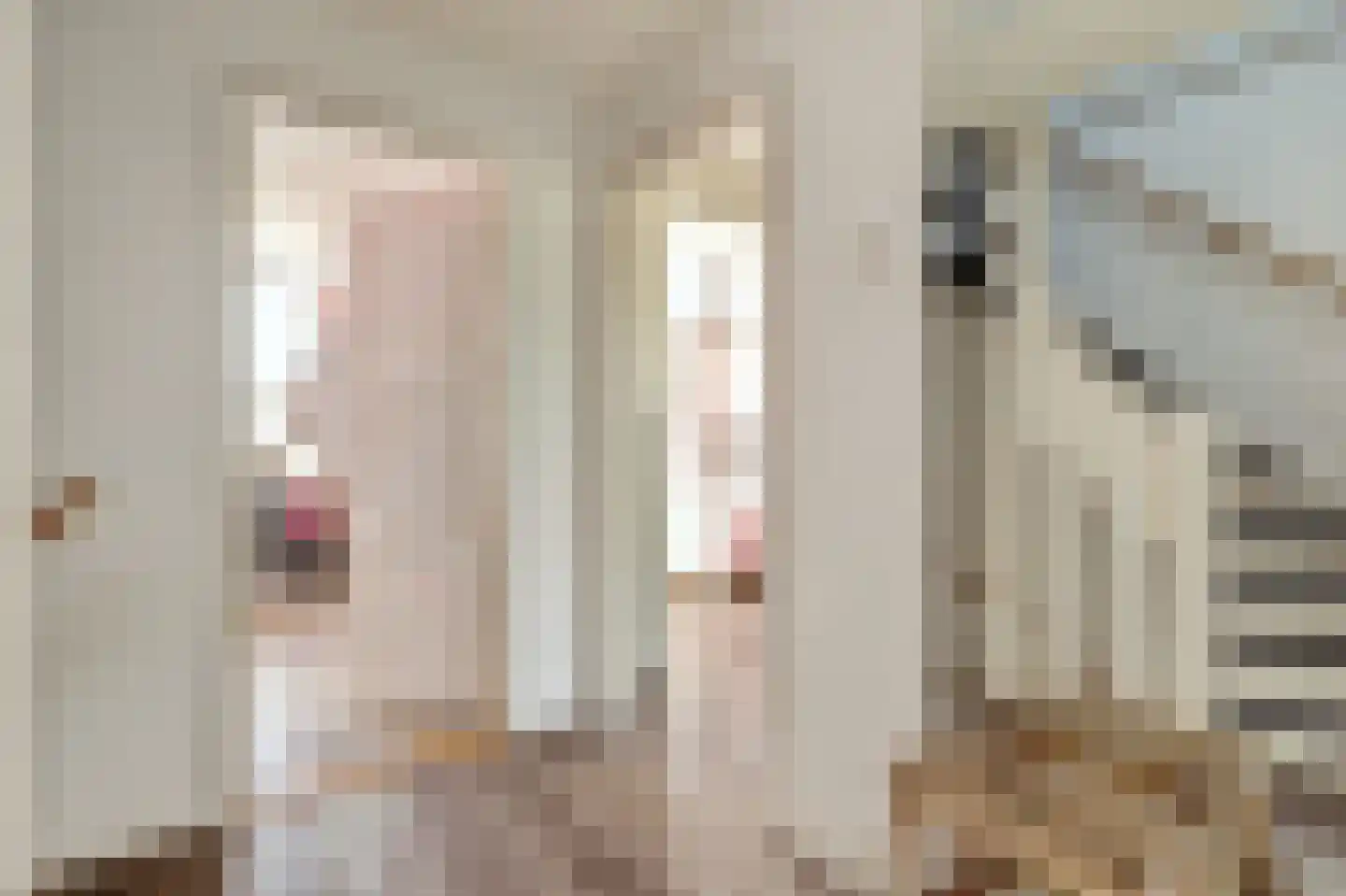 Leeuwerikstraat 3 Groot-Ammers thumbnail 19