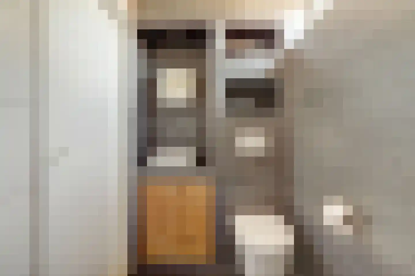 Leeuwerikstraat 3 Groot-Ammers thumbnail 27