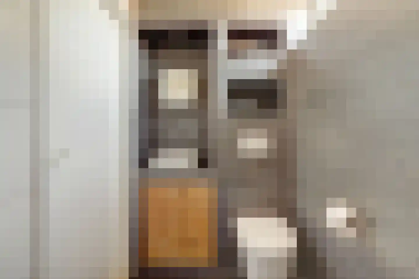 Leeuwerikstraat 3 Groot-Ammers thumbnail 28