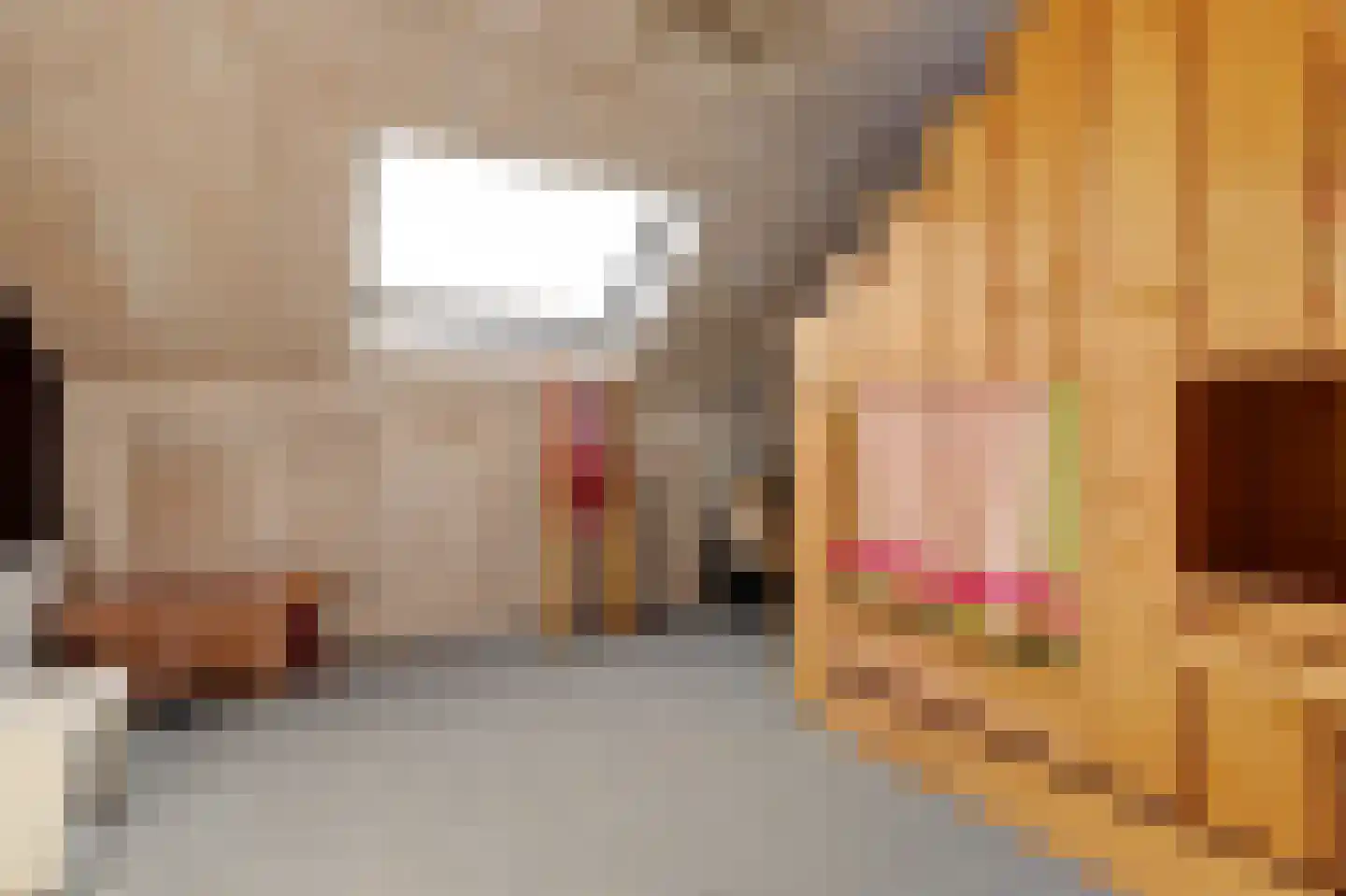 Leeuwerikstraat 3 Groot-Ammers thumbnail 32