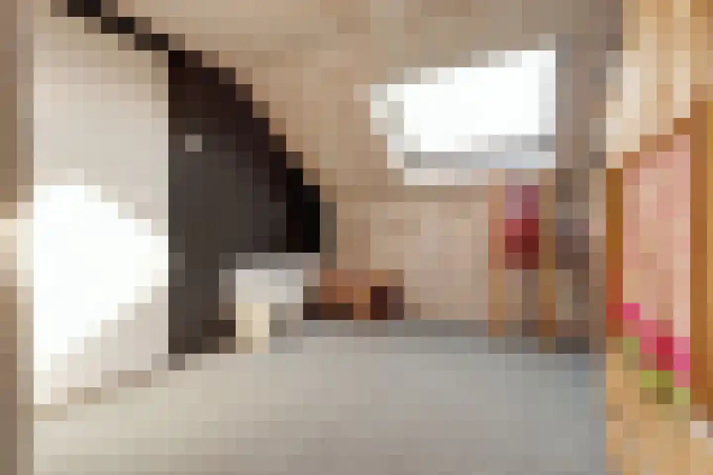 Leeuwerikstraat 3 Groot-Ammers thumbnail 33