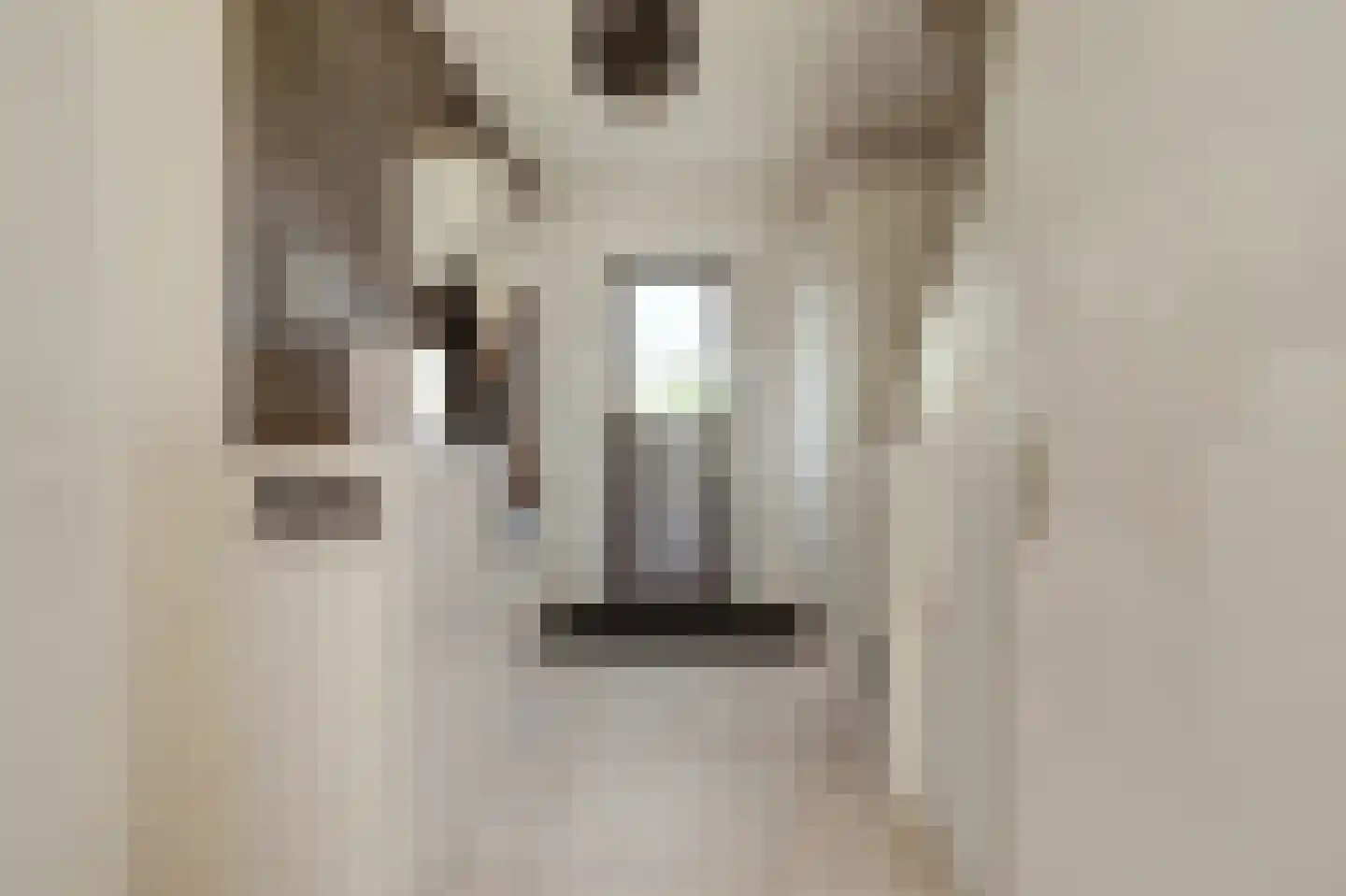 Leeuwerikstraat 3 Groot-Ammers thumbnail 4