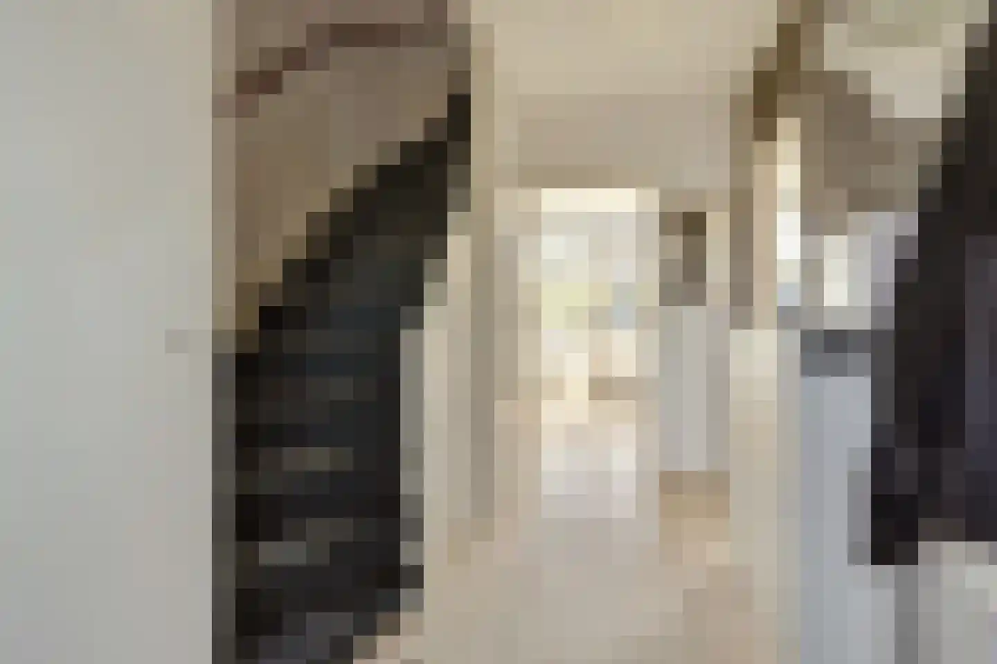 Leeuwerikstraat 3 Groot-Ammers thumbnail 4