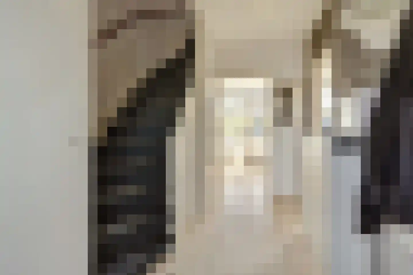 Leeuwerikstraat 3 Groot-Ammers thumbnail 5