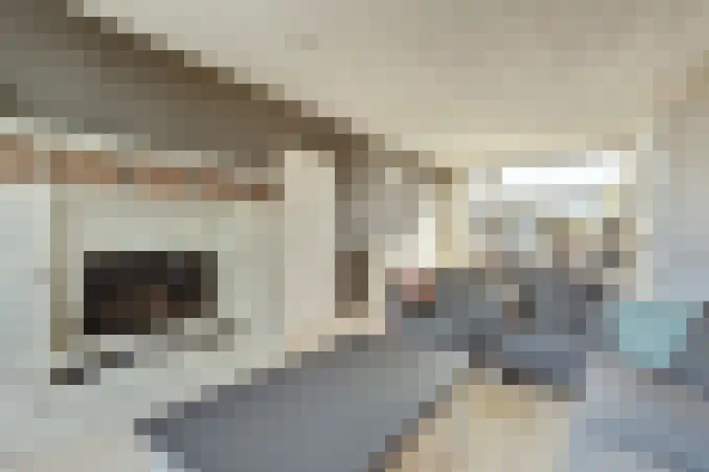 Leeuwerikstraat 3 Groot-Ammers thumbnail 6