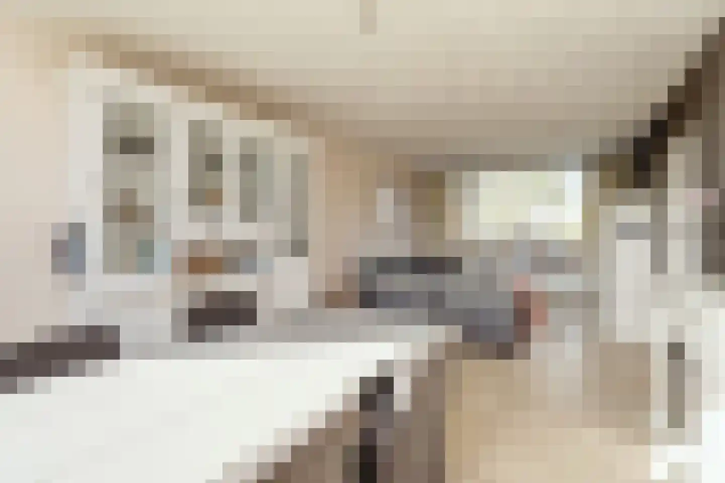 Leeuwerikstraat 3 Groot-Ammers thumbnail 8