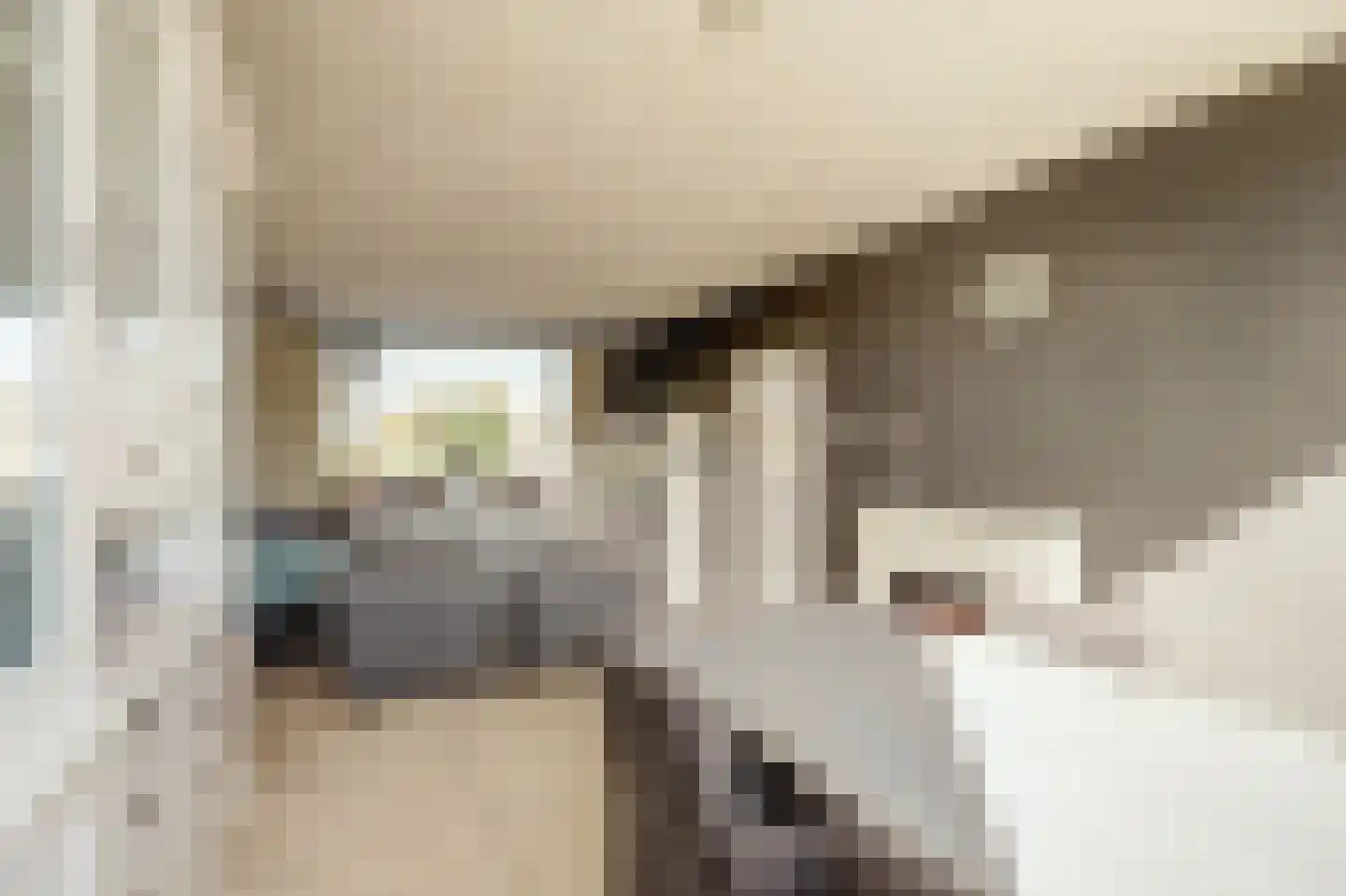 Leeuwerikstraat 3 Groot-Ammers thumbnail 9