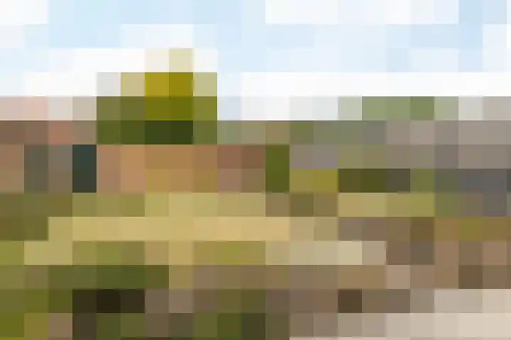 Leeuwerikstraat 3 Hoensbroek thumbnail 22