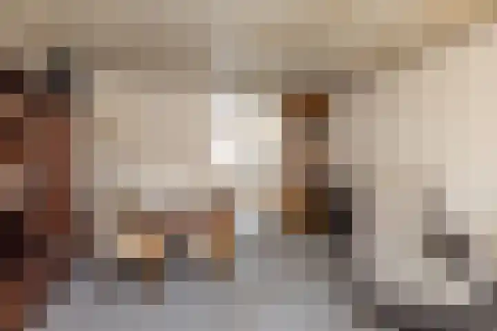 Leeuwerikstraat 3 Hoensbroek thumbnail 7