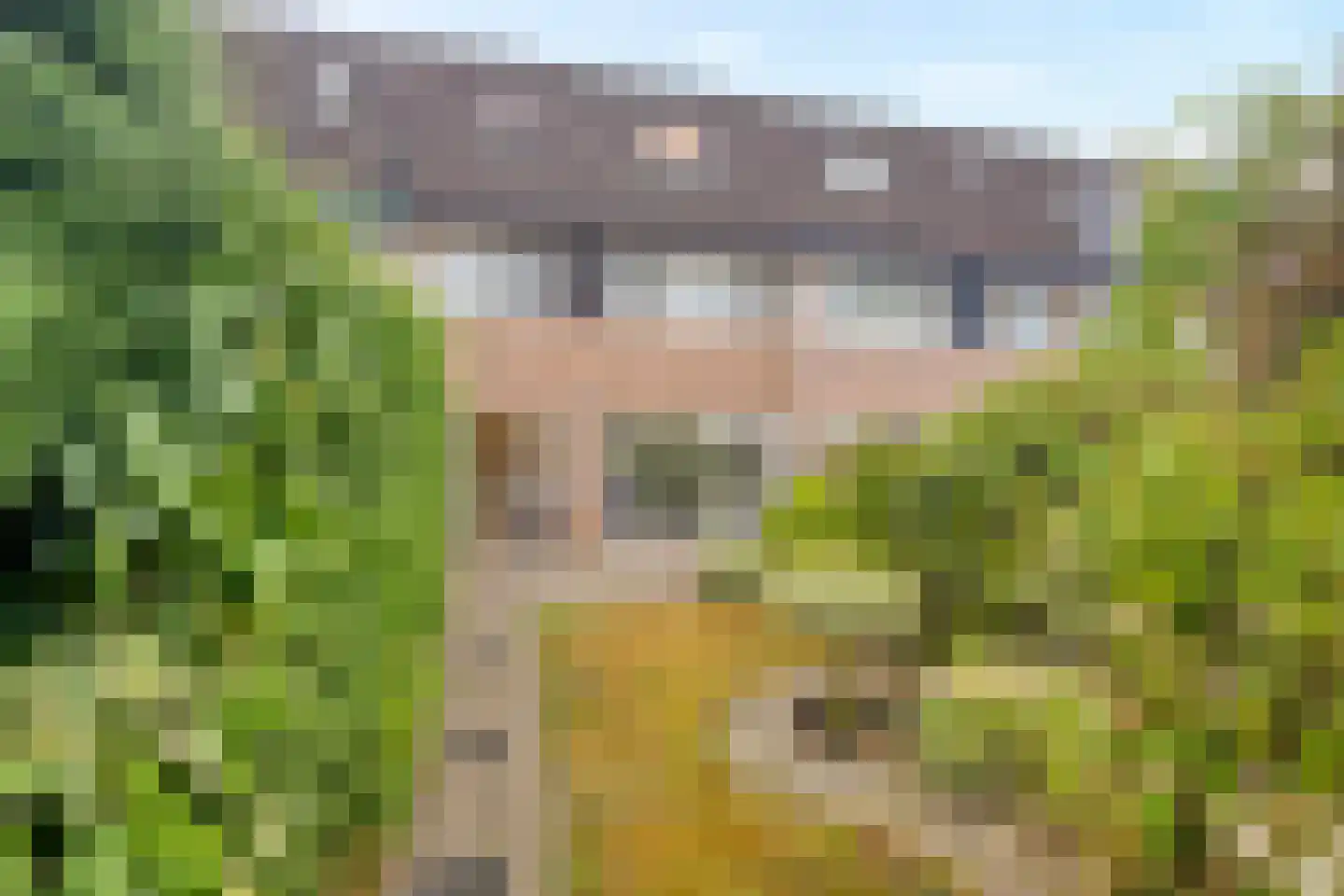 Leeuwerikstraat 30 Schagen thumbnail 19