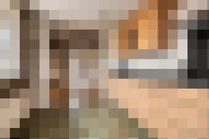 Leeuwerikstraat 34 Goor thumbnail 12