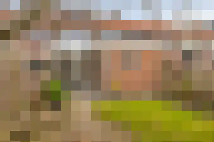 Leeuwerikstraat 34 Goor thumbnail 22