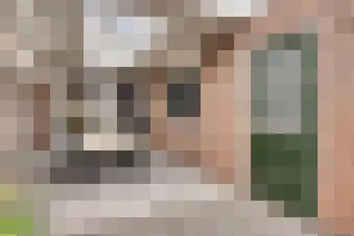 Leeuwerikstraat 34 Goor thumbnail 23