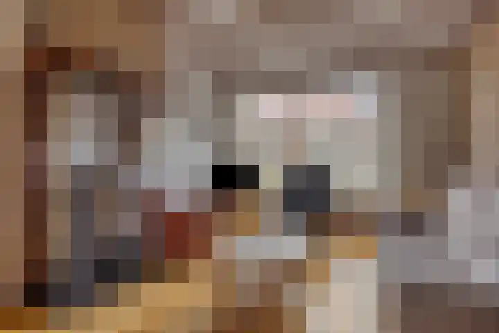 Leeuwerikstraat 34 Goor thumbnail 4