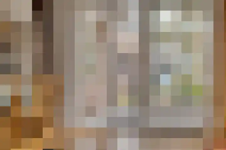 Leeuwerikstraat 34 Goor thumbnail 7