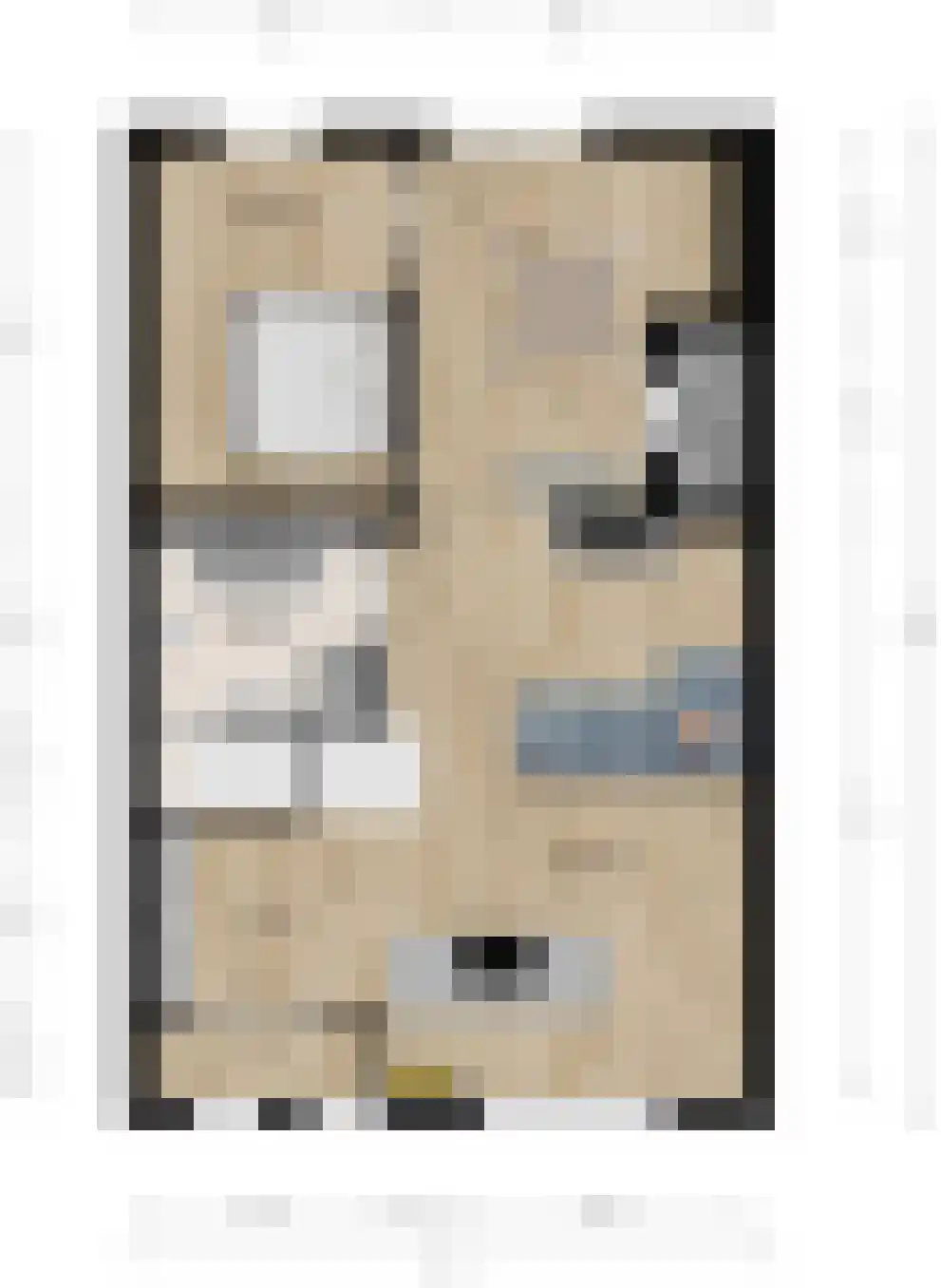 Leeuwerikstraat 35 Hoensbroek thumbnail 16