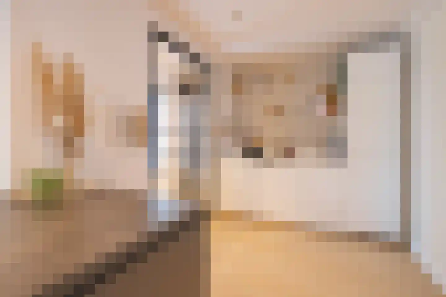 Leeuwerikstraat 35 Hoensbroek thumbnail 4