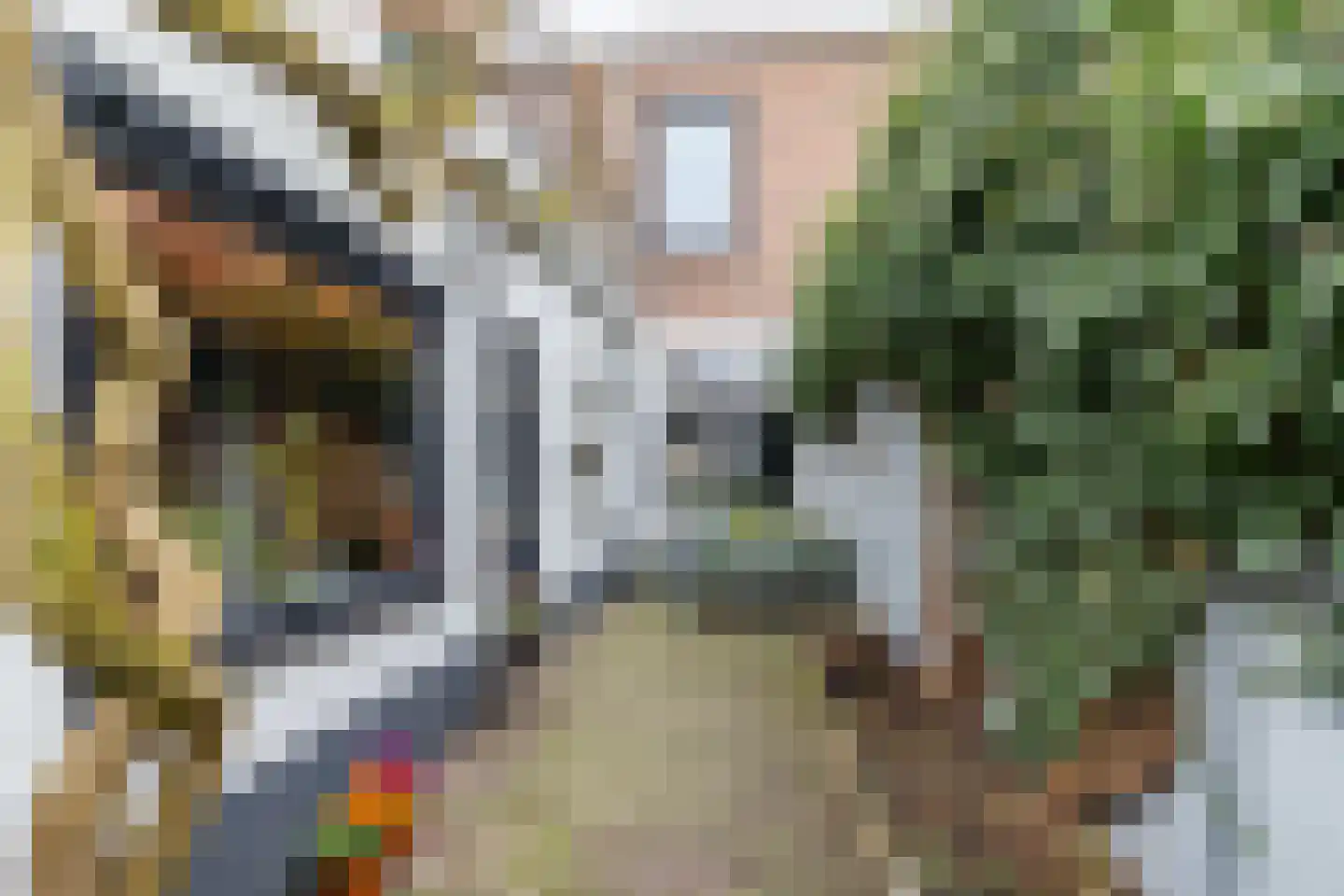 Leeuwerikstraat 36 Breda thumbnail 22