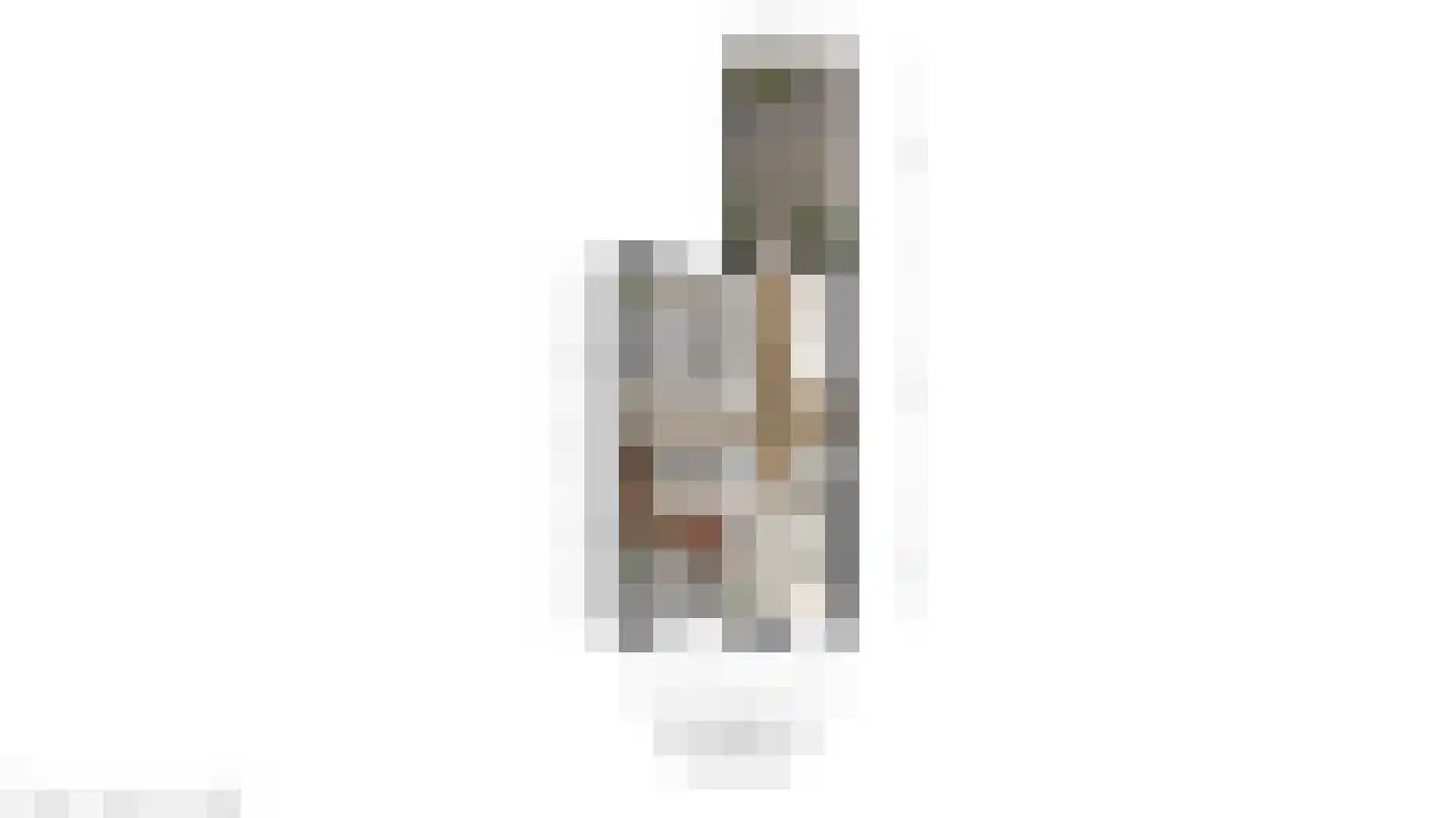 Leeuwerikstraat 36 Breda thumbnail 25