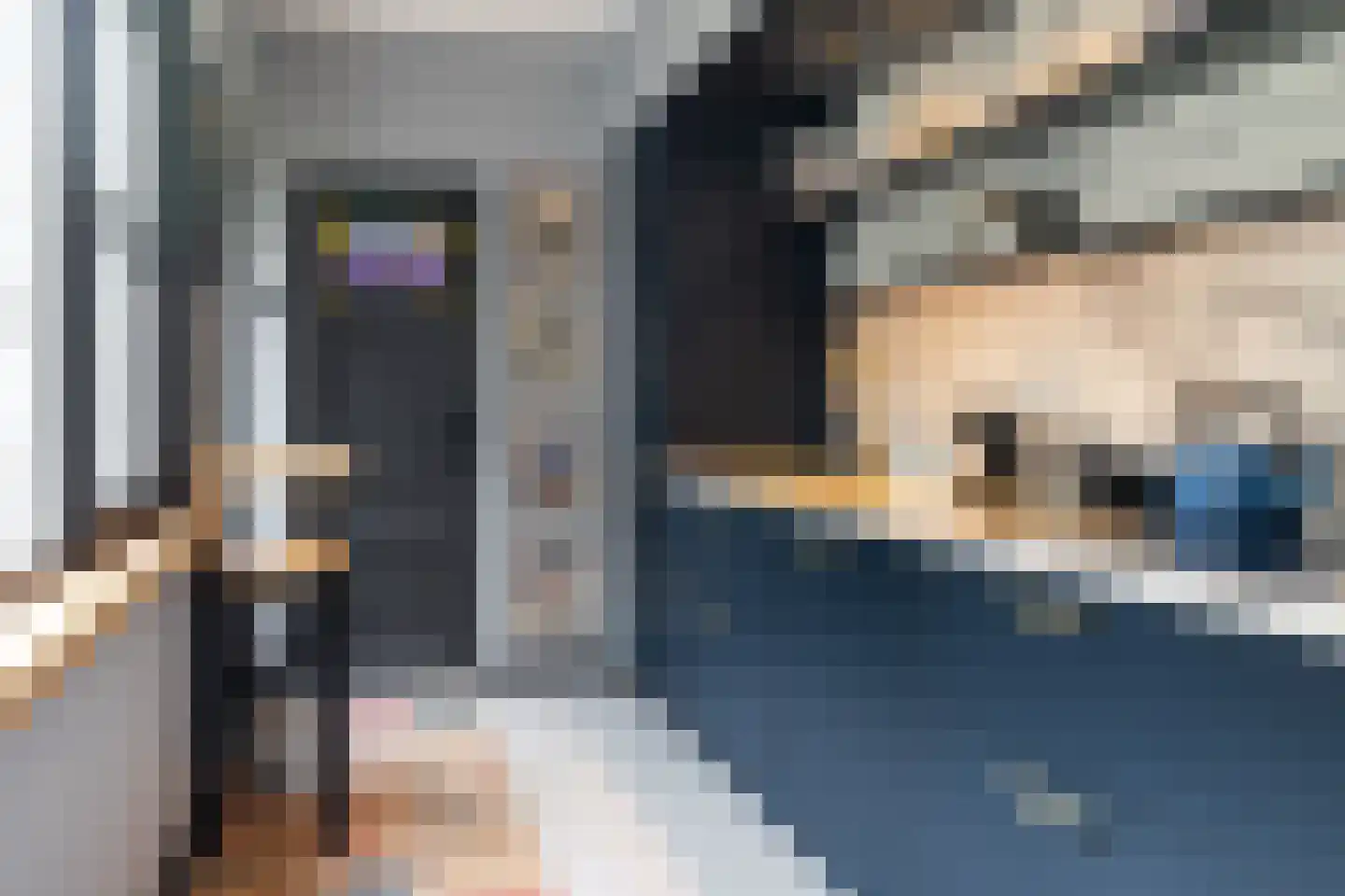 Leeuwerikstraat 36 Breda thumbnail 8