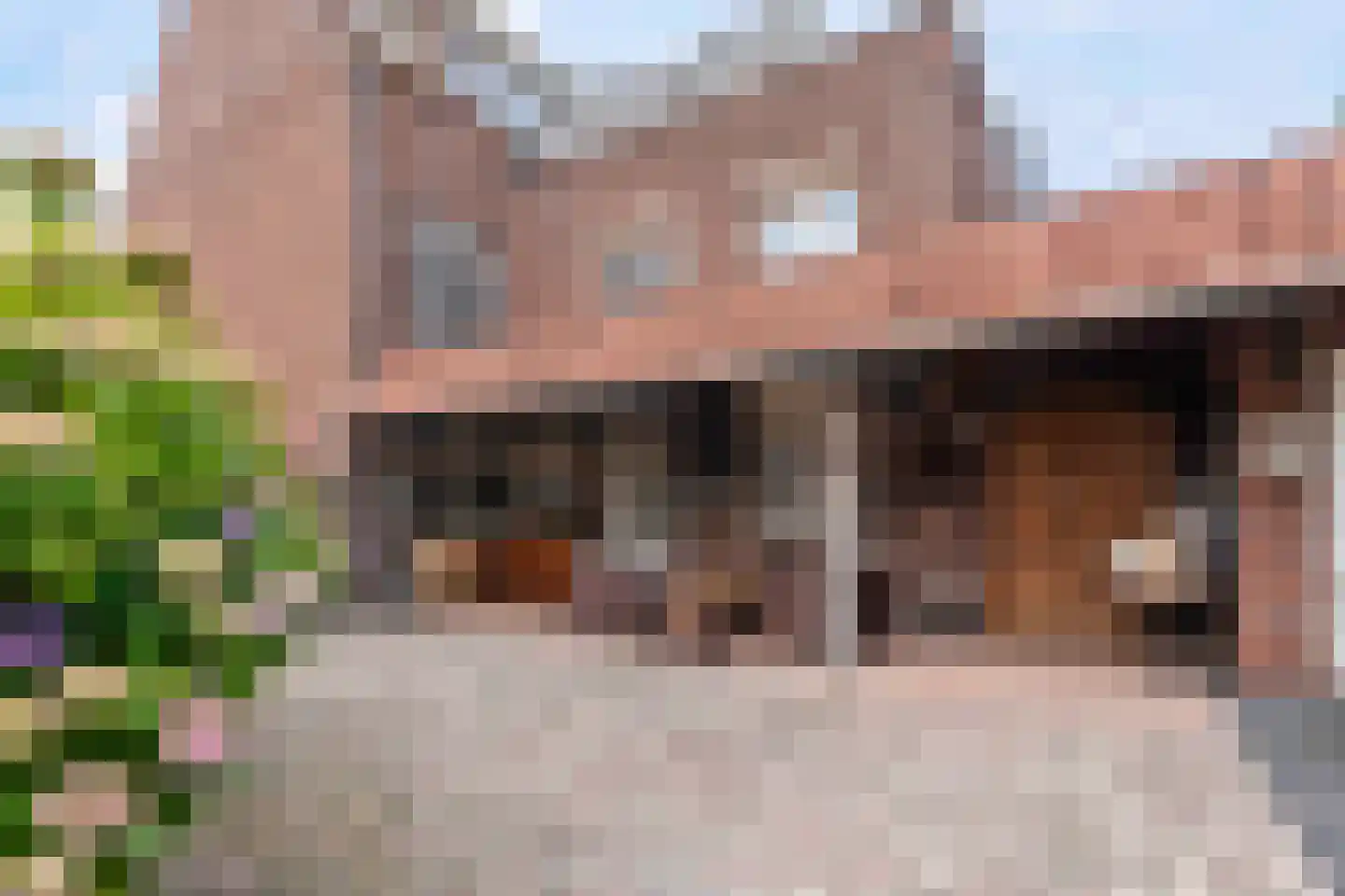Leeuwerikstraat 36 Venlo thumbnail 22