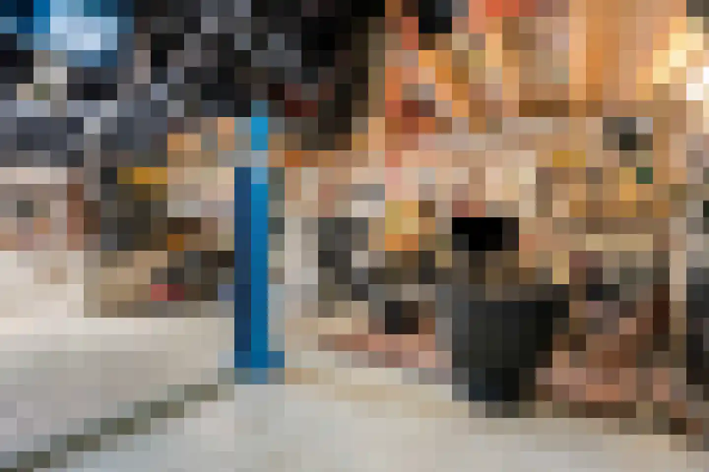 Leeuwerikstraat 36 Venlo thumbnail 26