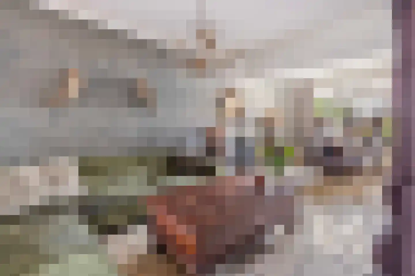 Leeuwerikstraat 36 Venlo thumbnail 6