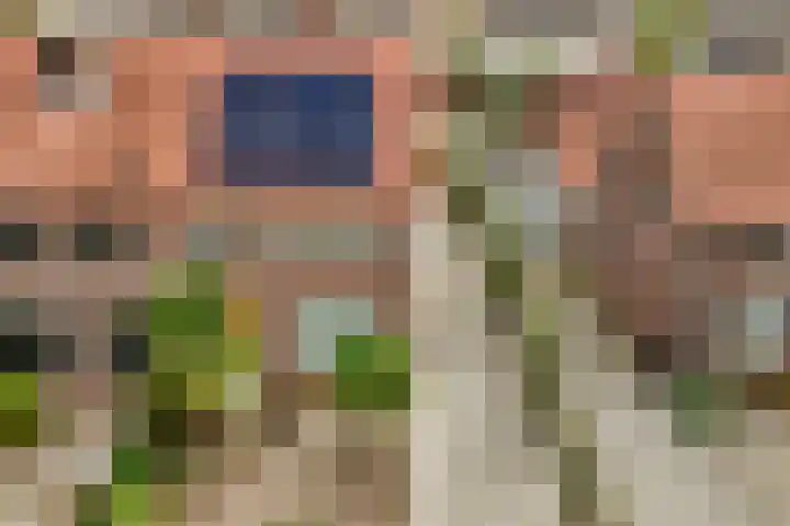 Leeuwerikstraat 38 Mill thumbnail 22