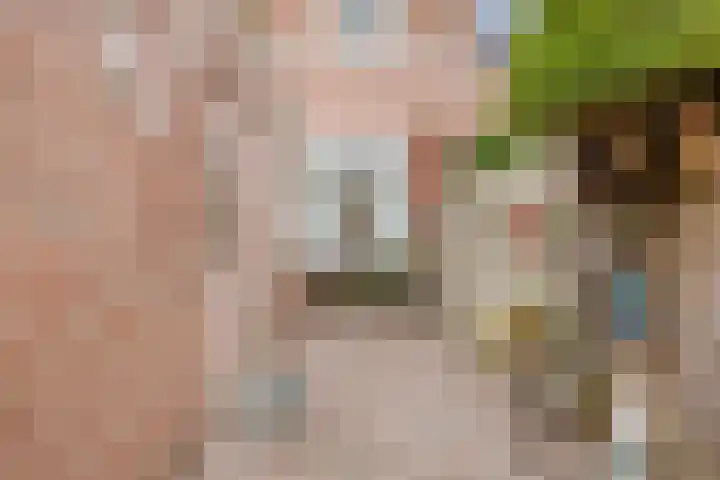Leeuwerikstraat 38 Mill thumbnail 28