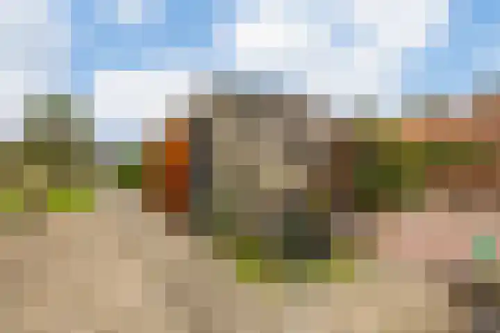 Leeuwerikstraat 38 Mill thumbnail 29