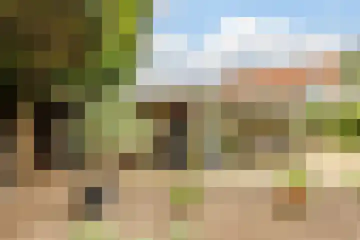 Leeuwerikstraat 38 Mill thumbnail 32