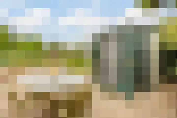 Leeuwerikstraat 38 Mill thumbnail 37