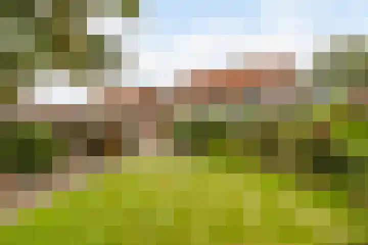 Leeuwerikstraat 38 Mill thumbnail 40