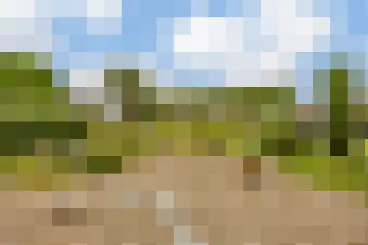 Leeuwerikstraat 38 Mill thumbnail 5