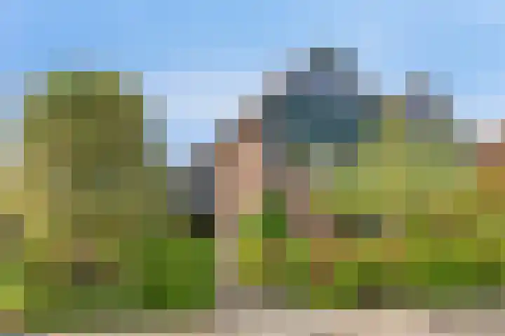 Leeuwerikstraat 39 Varsseveld thumbnail 6