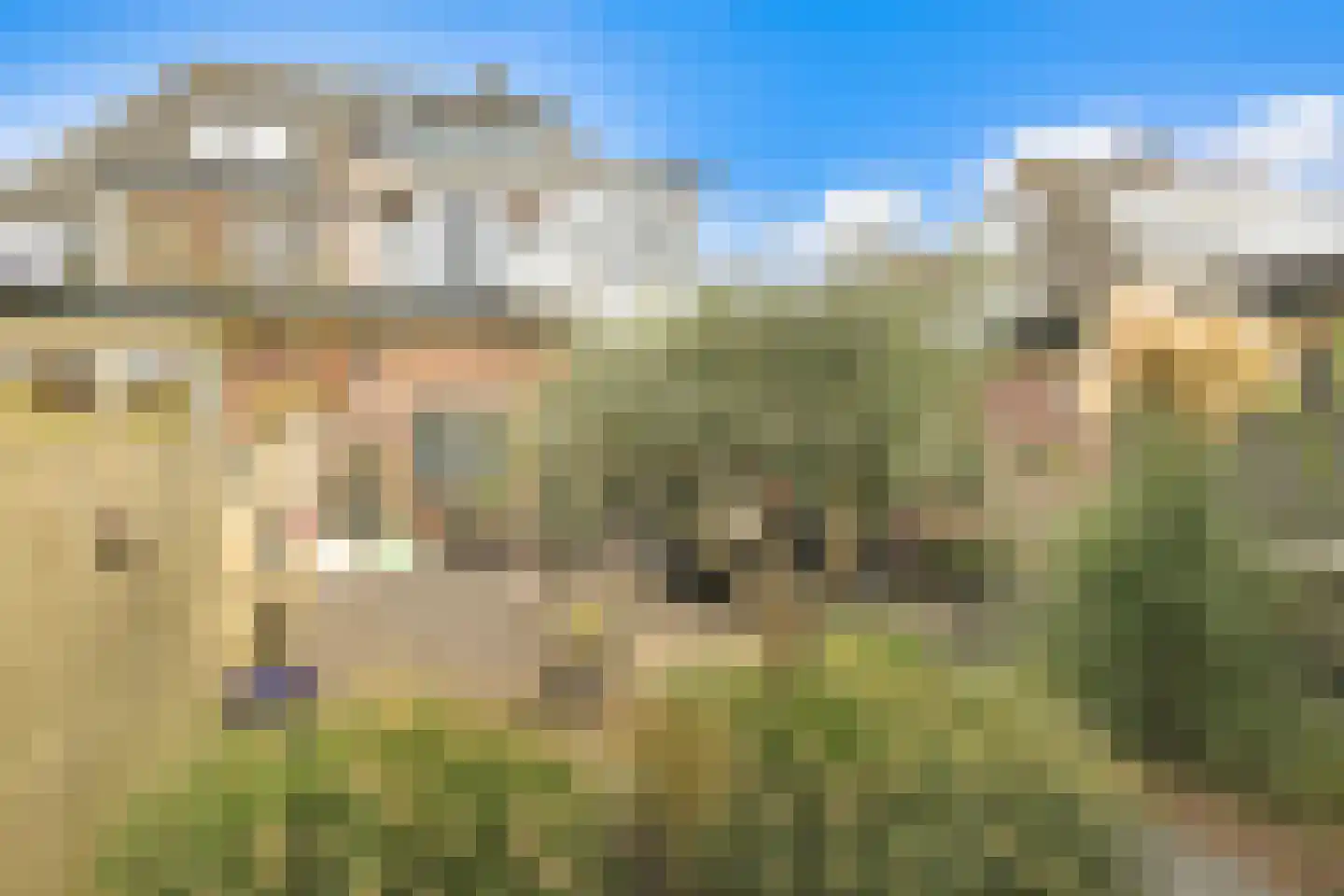 Leeuwerikstraat 41 Badhoevedorp thumbnail 33