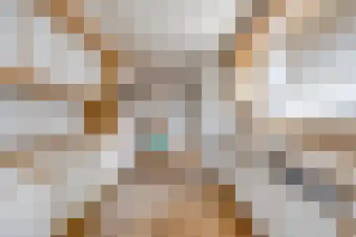 Leeuwerikstraat 41 Goor thumbnail 15
