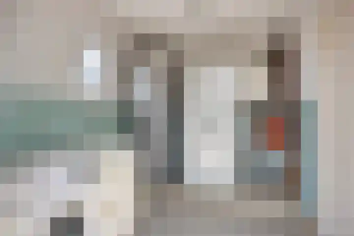 Leeuwerikstraat 41 Goor thumbnail 18