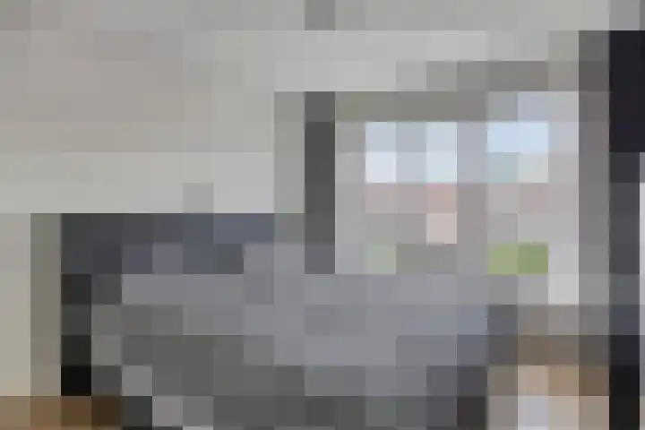 Leeuwerikstraat 41 Goor thumbnail 20