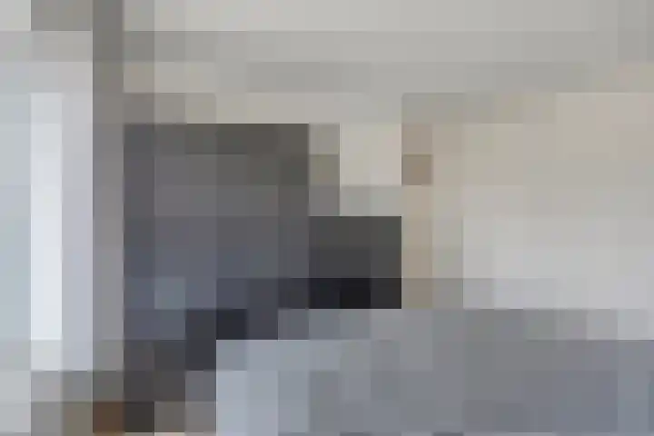 Leeuwerikstraat 41 Goor thumbnail 21