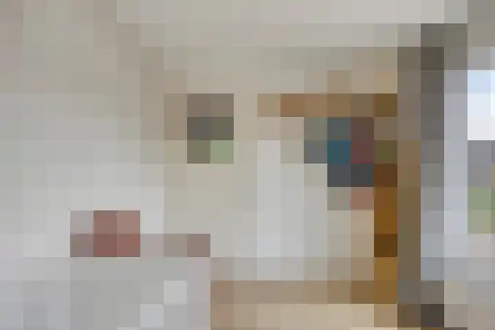 Leeuwerikstraat 41 Goor thumbnail 25